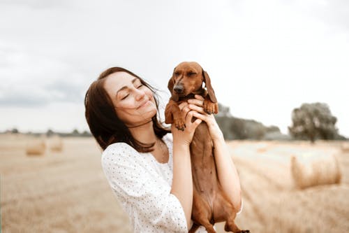 Veterinary Orthopedics: Frequent Bone Fractures of Pets