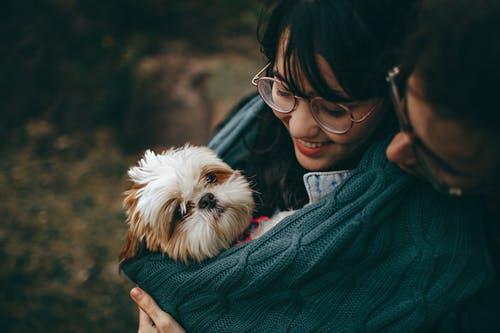 Seven Cases Where Your Pet Needs a Vet Right Away